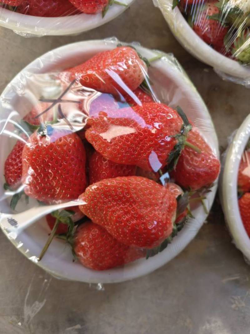 唐王有机甜宝草莓