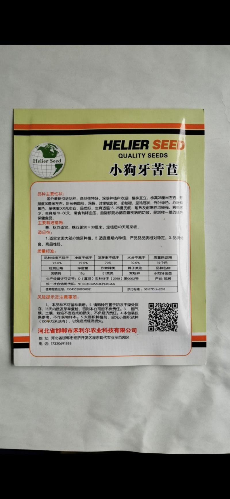 小狗牙苦菊种子碎叶苦苣种籽黄心苦菊野菜蔬菜特菜