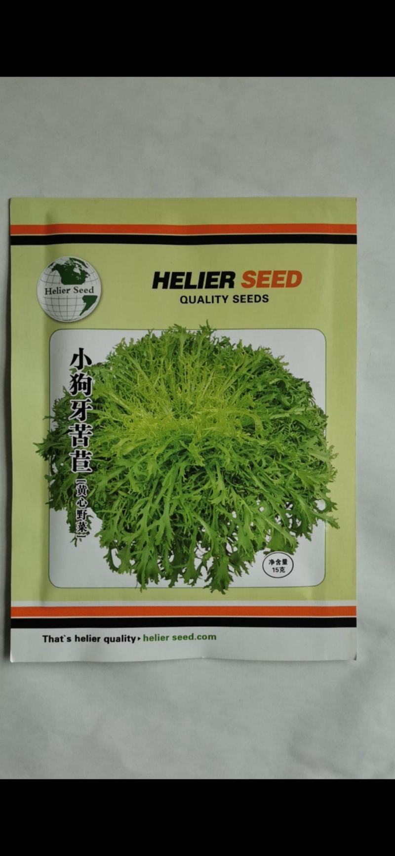 小狗牙苦菊种子碎叶苦苣种籽黄心苦菊野菜蔬菜特菜
