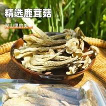 鹿茸菇干货整件厂家直供散装批发脆脆菇酒店煲汤食材