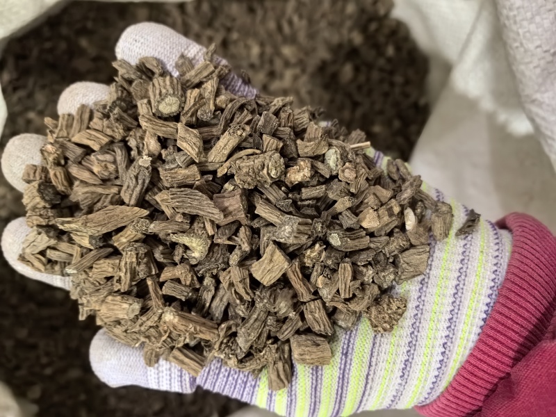 续断颜色好看中选货物美价廉需要联系实图拍摄