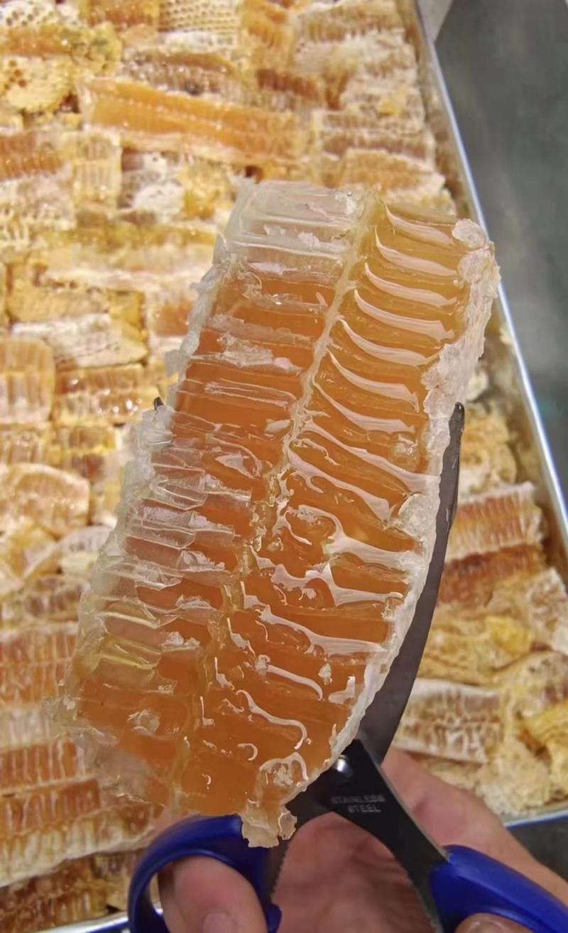 蜂巢蜜一件90斤左右每天现割现发，现货秒发一手货源