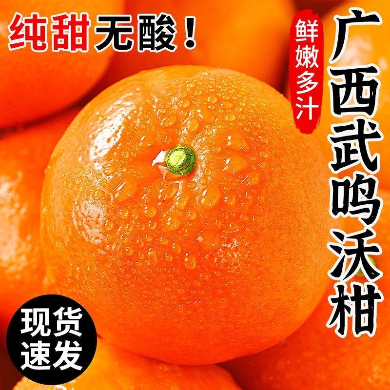 广西沃柑整车落地配，对接支持一件代发，社区团购现摘现发