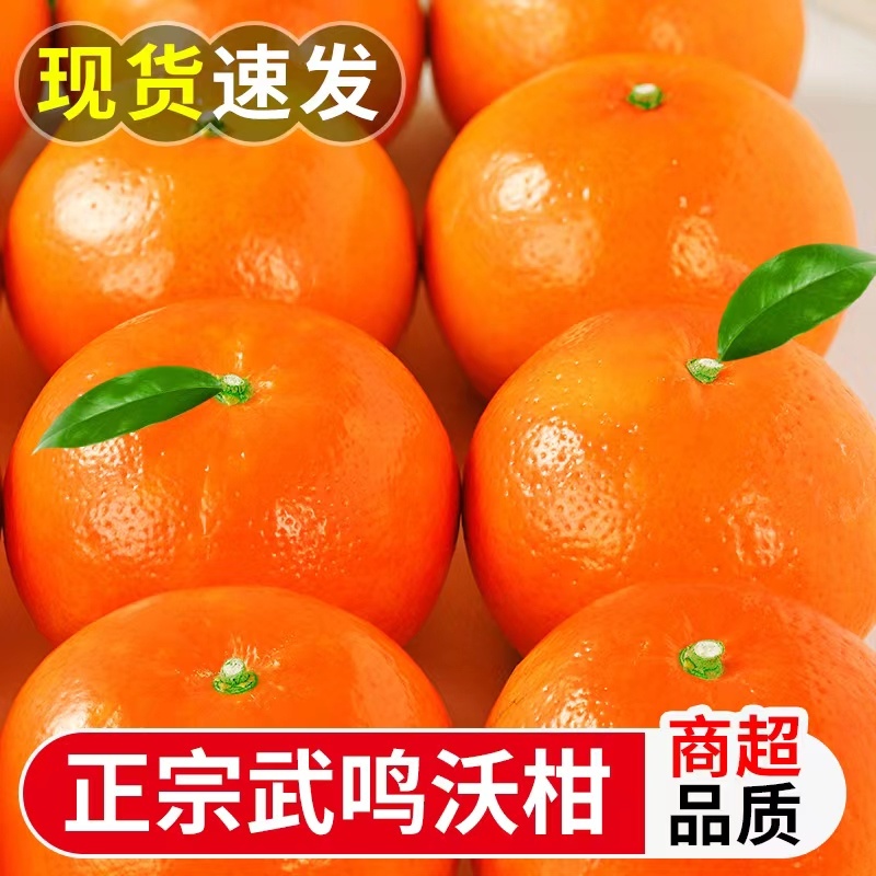 广西沃柑整车落地配，对接支持一件代发，社区团购现摘现发