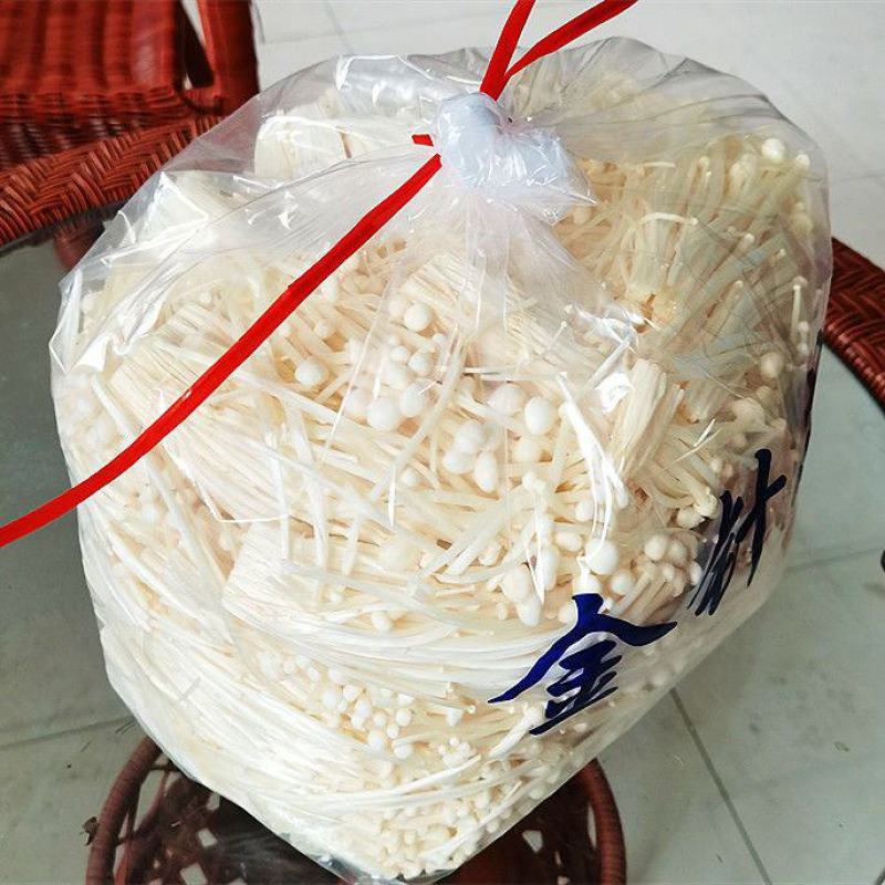 【产地直发新鲜】现摘5斤鲜金针菇蔬菜1斤食用菌火锅凉菜食