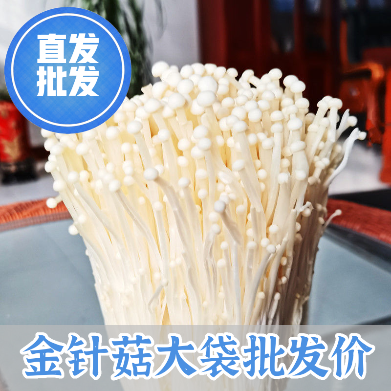 【产地直发新鲜】现摘5斤鲜金针菇蔬菜1斤食用菌火锅凉菜食