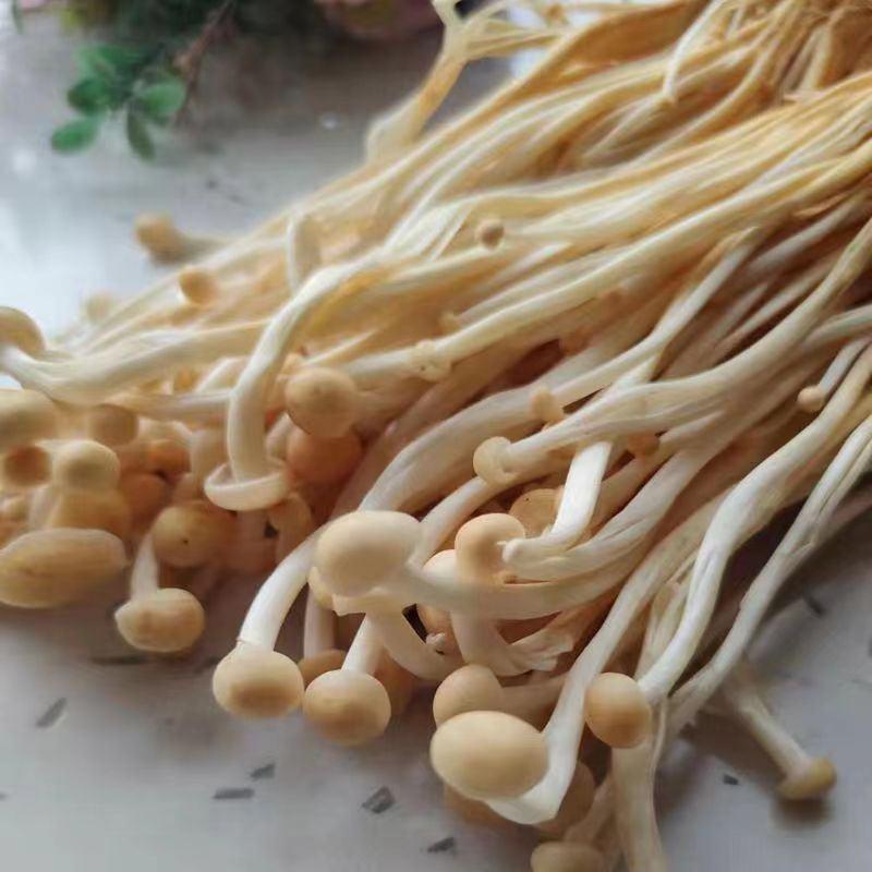 新鲜黄金针菇食用菌菇200克一包独立包装凉拌用食材嫩菌