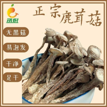 鹿茸菇干货批发无硫熏鹿茸菌新鲜无碎云南脆脆菇鹿茸香菇食用