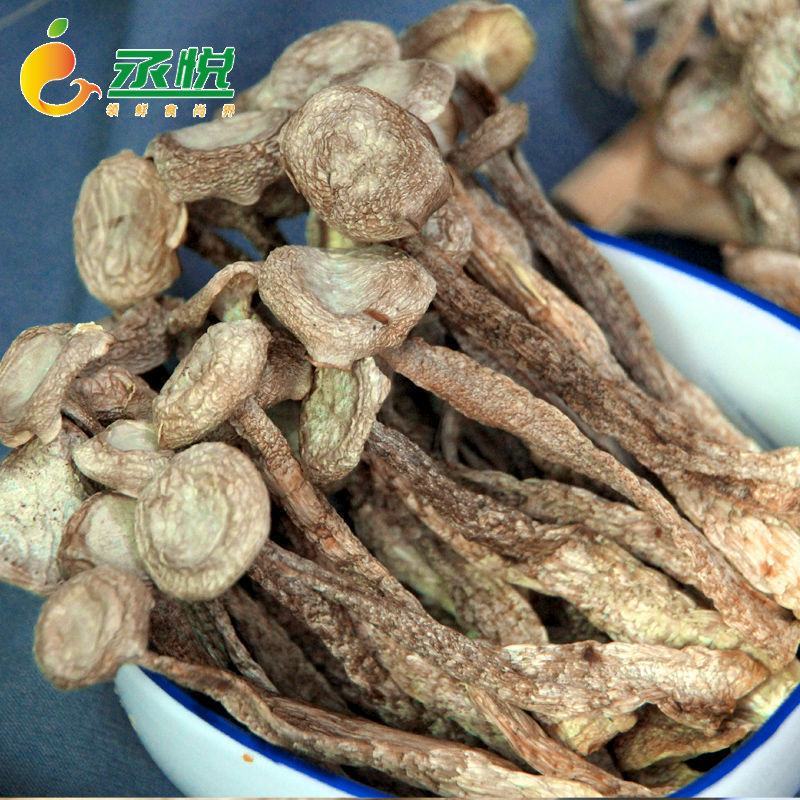 鹿茸菇干货批发无硫熏鹿茸菌新鲜无碎云南脆脆菇鹿茸香菇食用