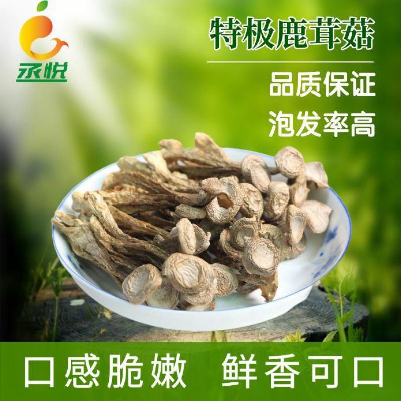 鹿茸菇干货批发无硫熏鹿茸菌新鲜无碎云南脆脆菇鹿茸香菇食用