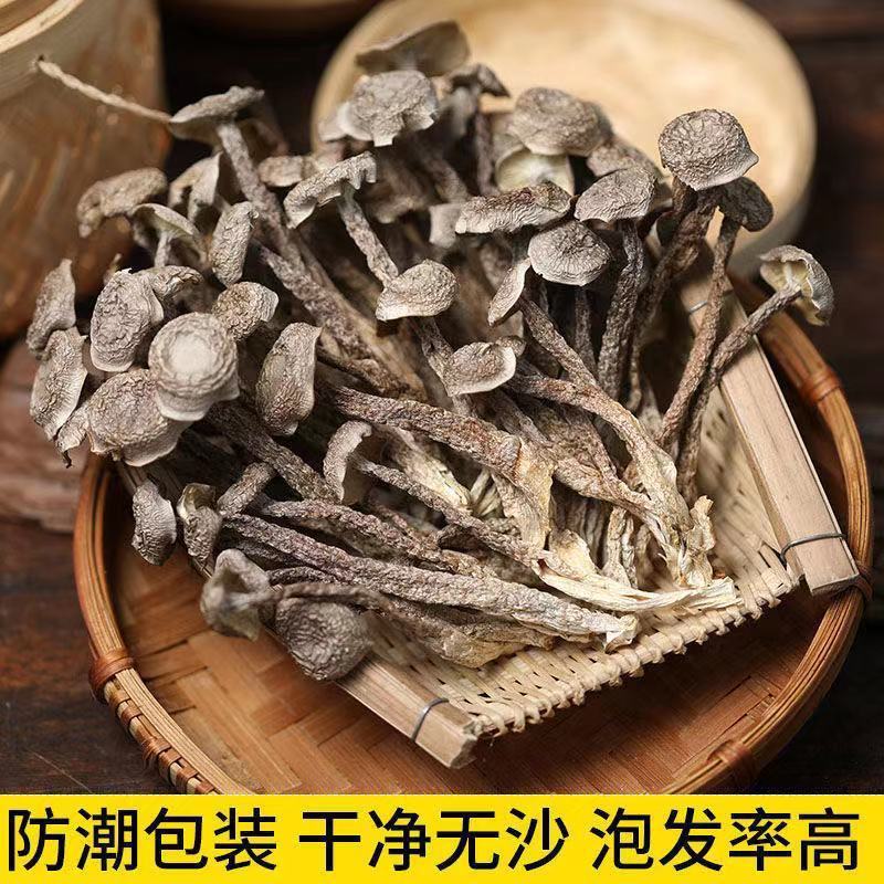 鹿茸菇干货批发无硫熏鹿茸菌新鲜无碎云南脆脆菇鹿茸香菇食用