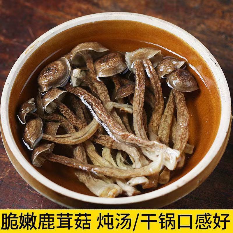 鹿茸菇干货批发无硫熏鹿茸菌新鲜无碎云南脆脆菇鹿茸香菇食用