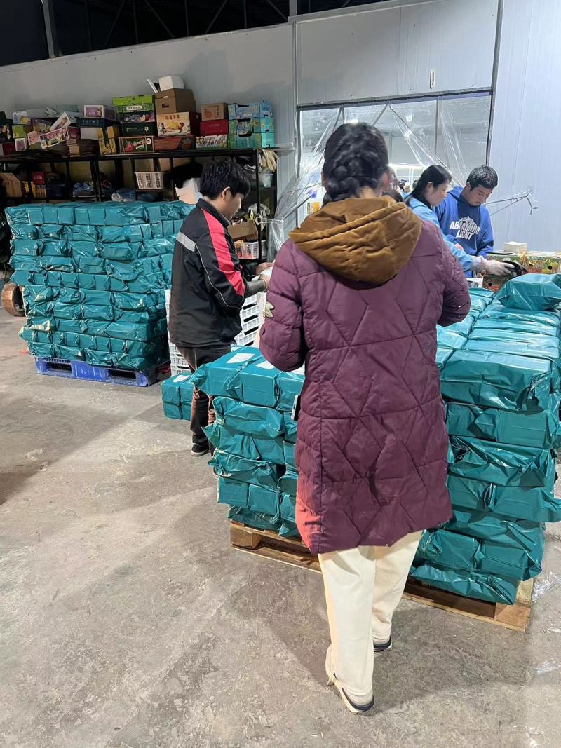 云南蓝莓，电商，市场