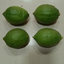 香水柠檬