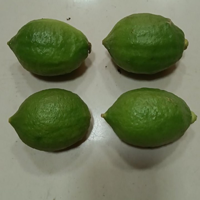 香水柠檬