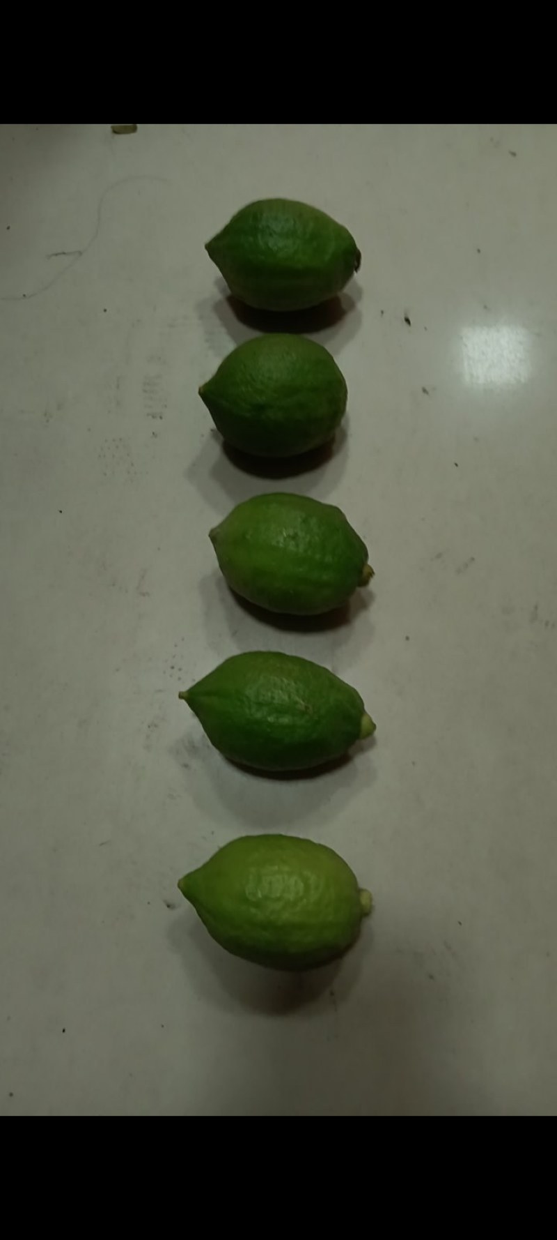 香水柠檬