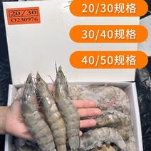 20304050盐冻虾海洋大虾连云港青岛鲜活冷冻南美冻虾