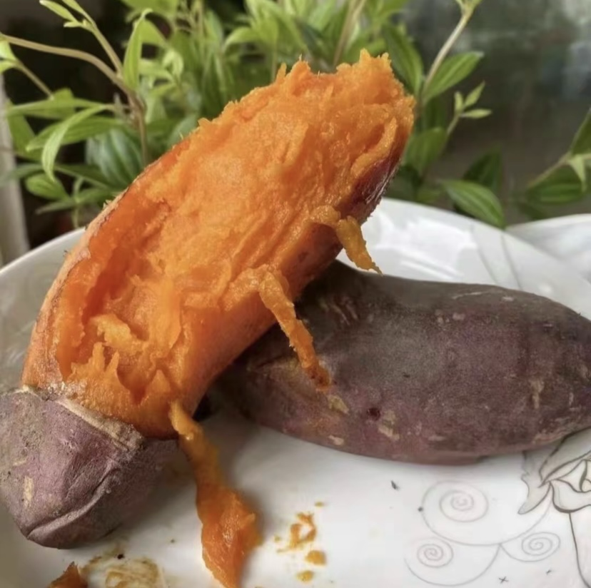 西瓜红红心蜜薯的特写展示