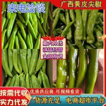 广东黄皮尖椒黄皮辣椒大量供货实力全国电商超市