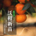 正宗沃柑树苗桔子苗嫁接苗南方种植水果树果苗