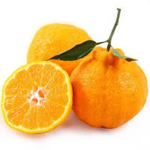 四川不知火，丑橘