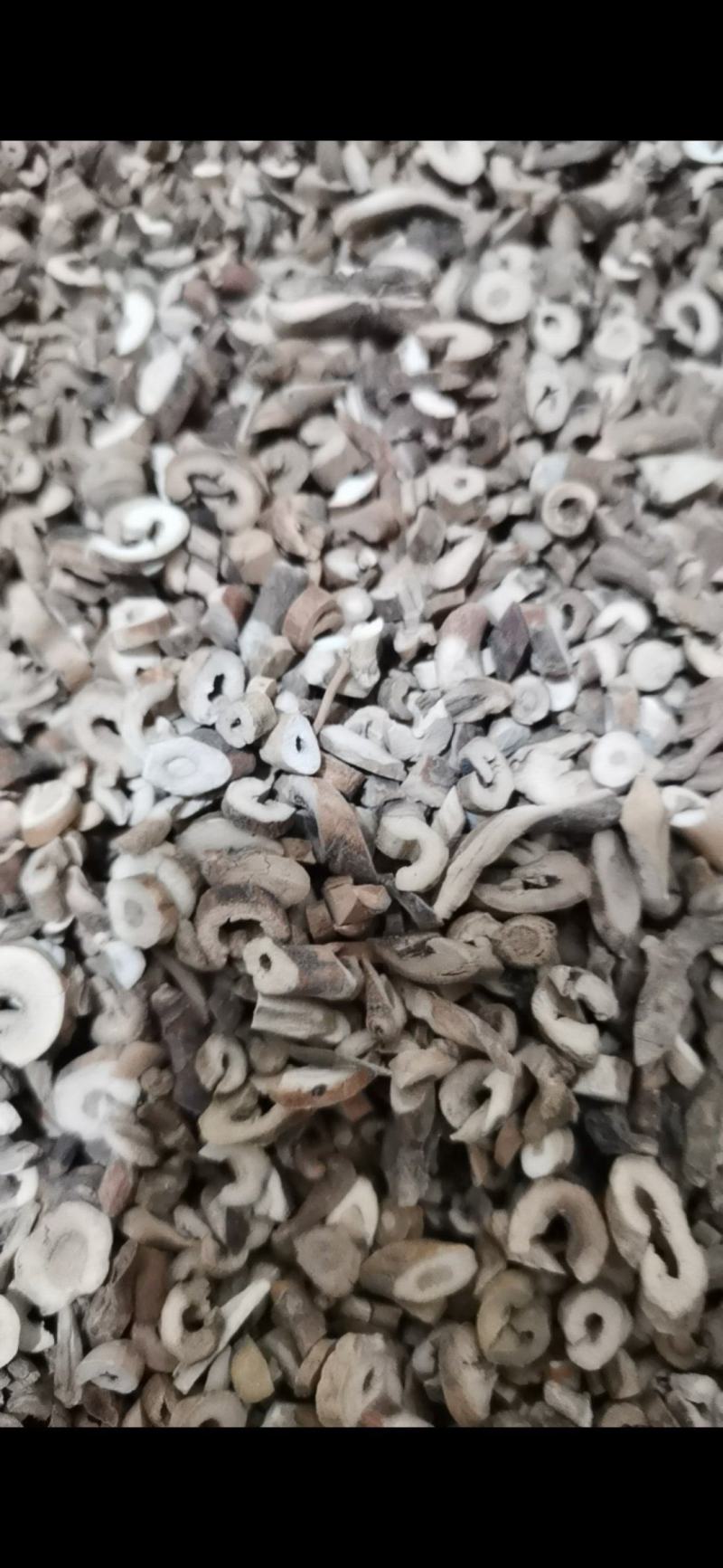 泽润中药牡丹皮无硫原统货抽芯好批发供应各种中药