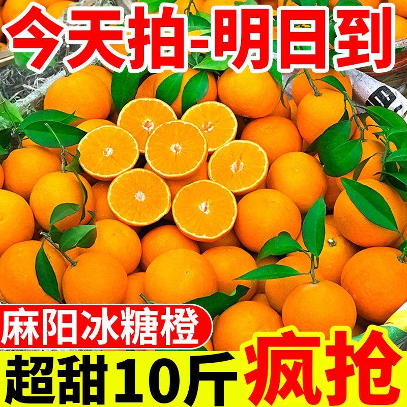 湖南现摘夏橙柑橘当季薄皮橙子产地直销一手货源