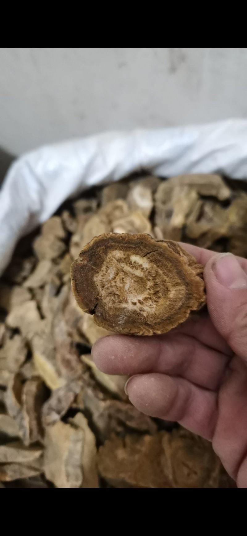 泽润中药大黄正品马蹄大黄批发零售各种中药材