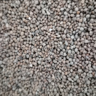 泽润中药紫苏子泽润中药批发零售各种中药材