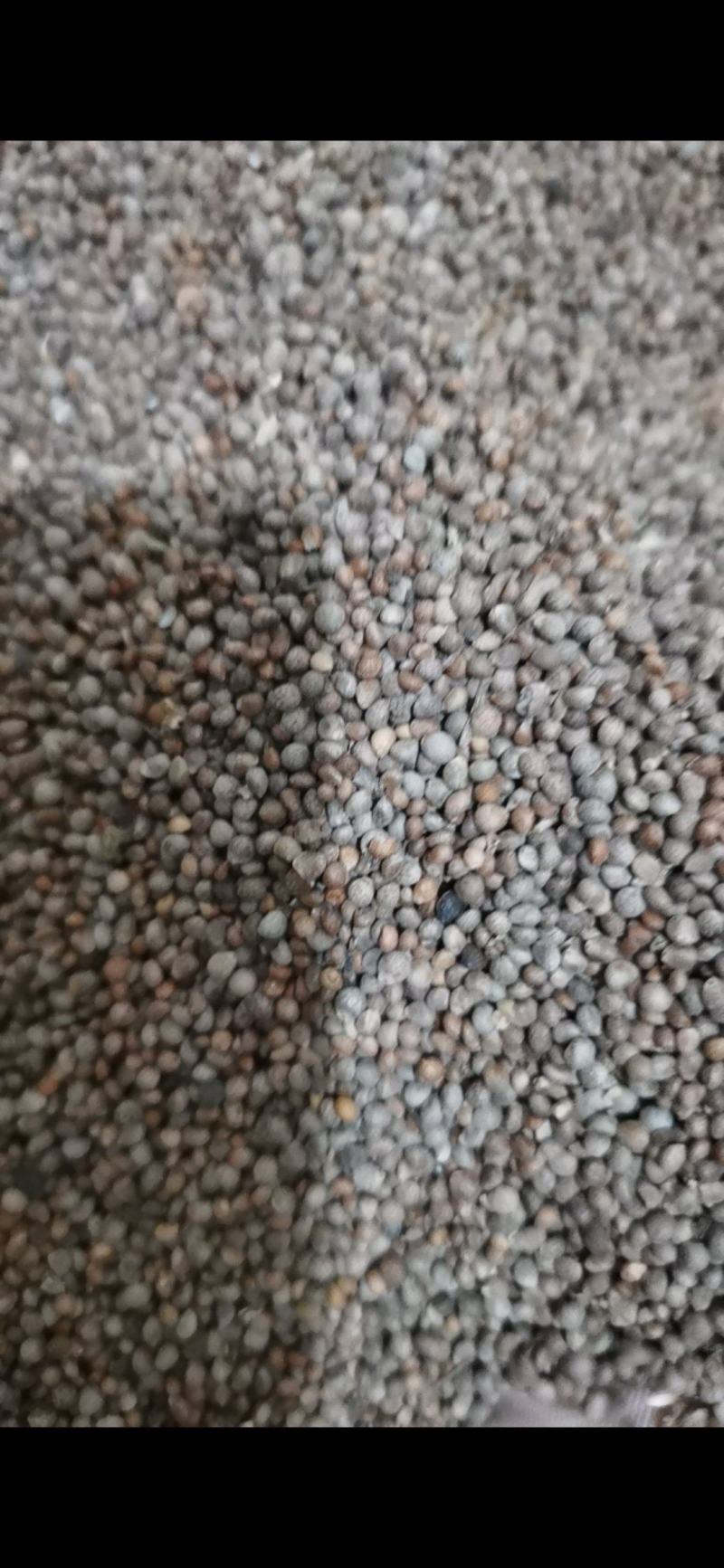 泽润中药紫苏子泽润中药批发零售各种中药材