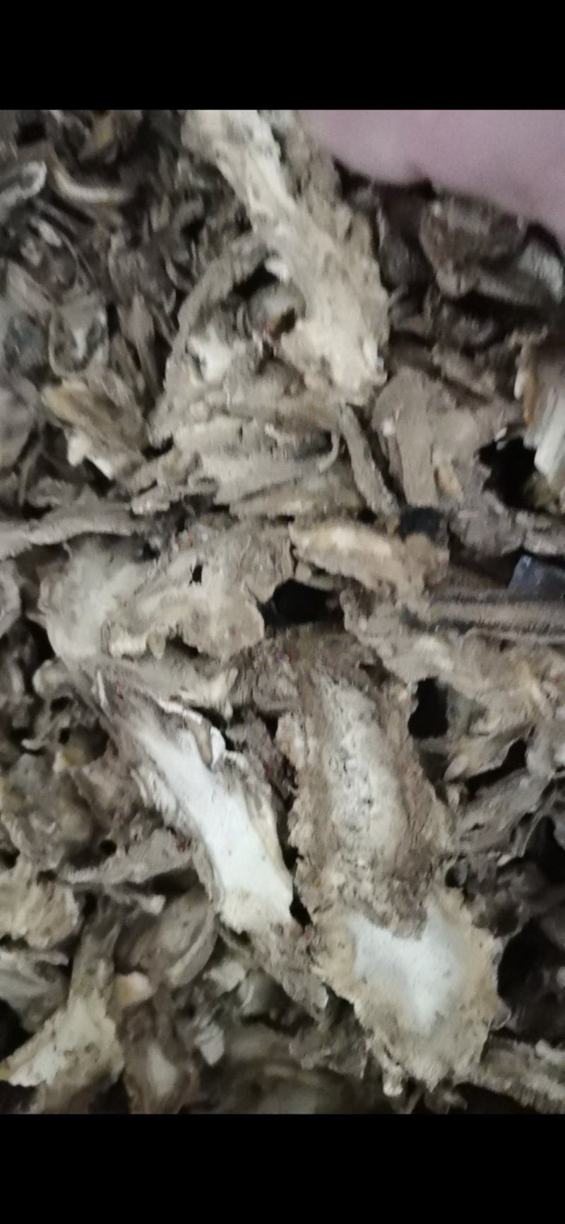 独活大活泽润中药独活批发零售各种中药材