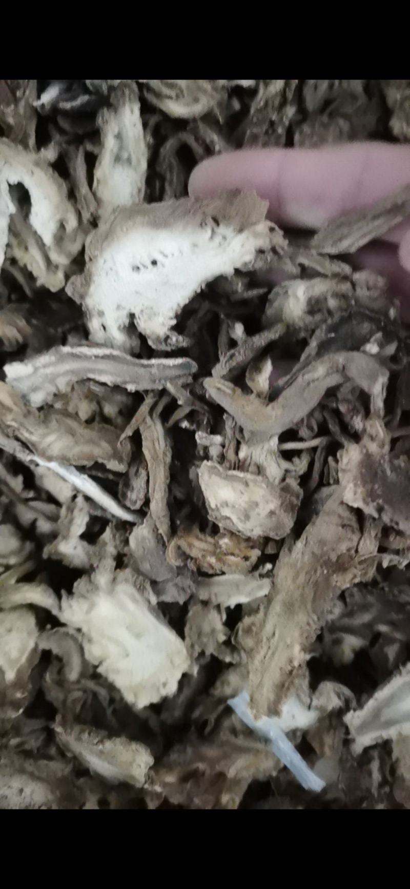 独活大活泽润中药独活批发零售各种中药材