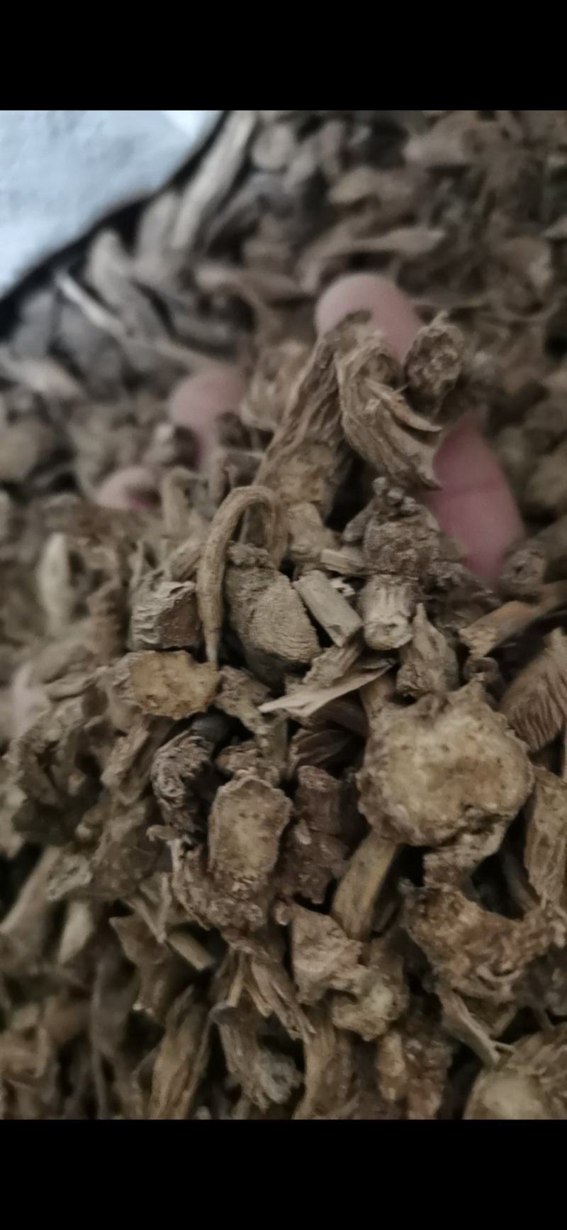 泽润中药川牛膝批发零售各种中药材