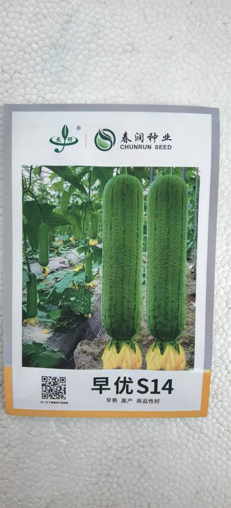 肉丝瓜种子早优S14早熟短棒丝瓜密集品质好产量高