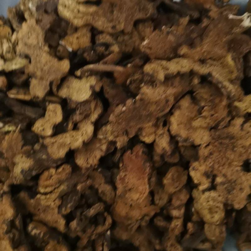 泽润中药苍术肤炒苍术批发零售各种中药材