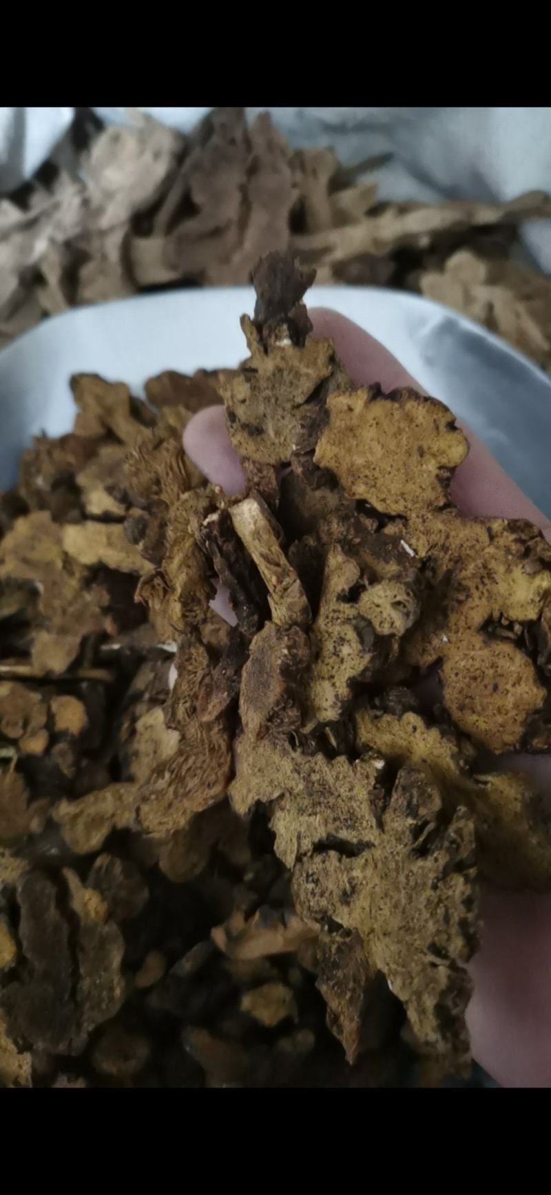 泽润中药苍术肤炒苍术批发零售各种中药材