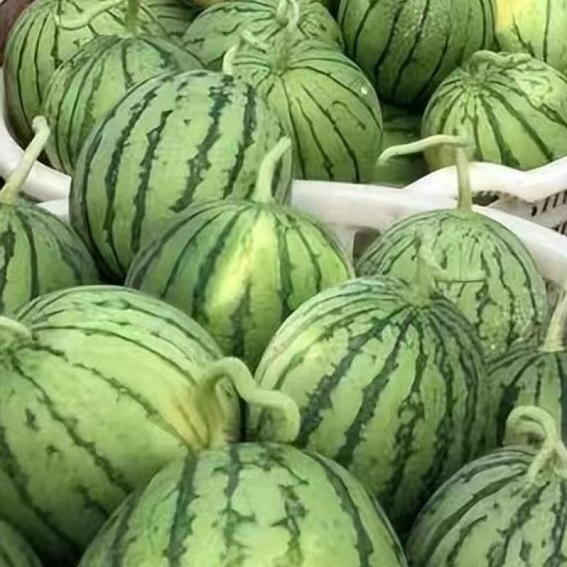 美都西瓜一手货源口感清爽品质感价格美欢迎