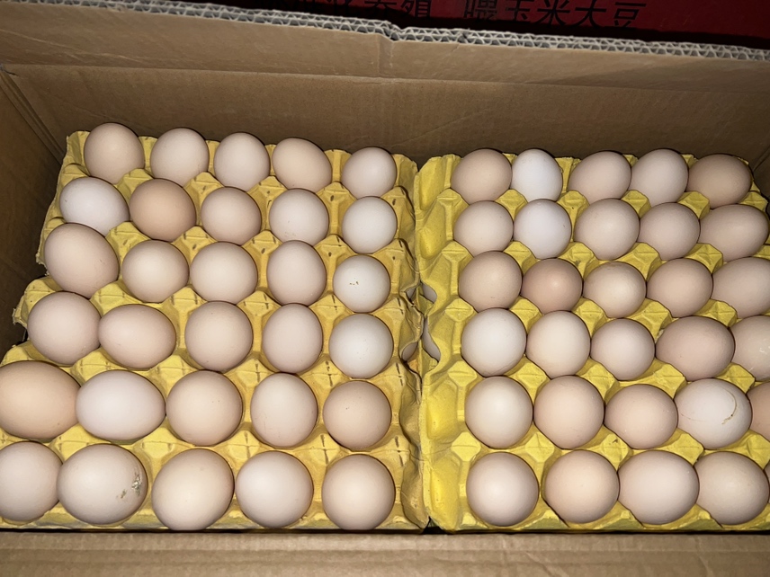 鸡蛋包装盒特写展示每板30枚