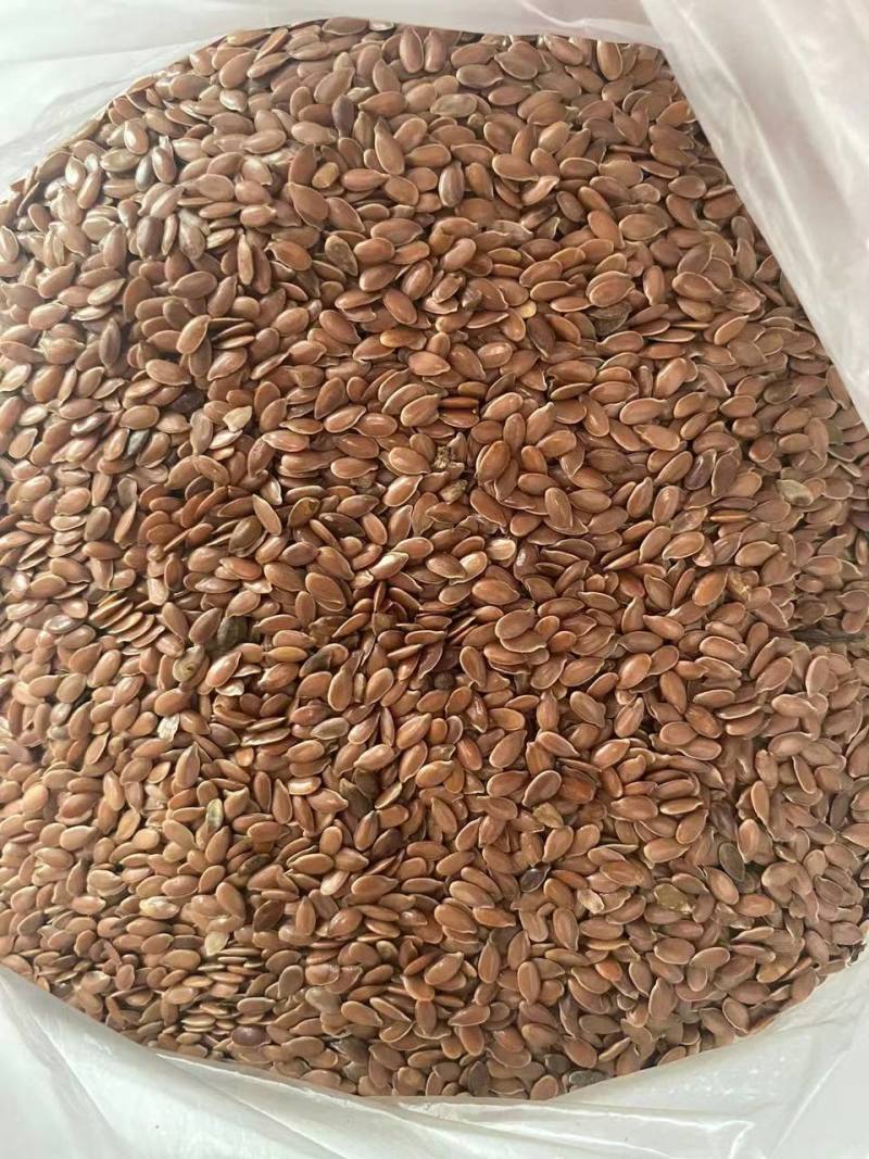 亚麻籽货量大一手价格随来随装按需分拣打包出油率高承接加工