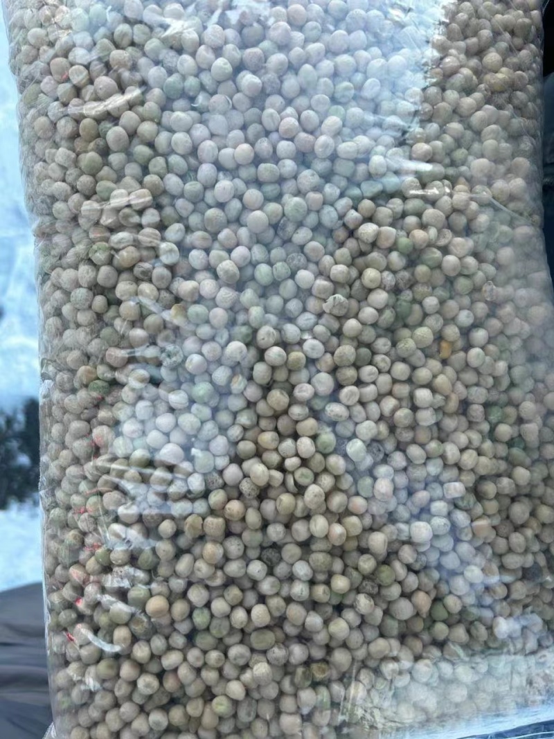 干豌豆干净无杂颗颗饱满完整自有仓储随时发货视频看货实地订货