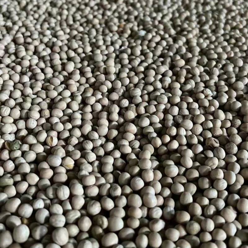 干豌豆青豌豆白豌豆黄豌豆豌豆碎品种登记规格齐全全年有货耐运输