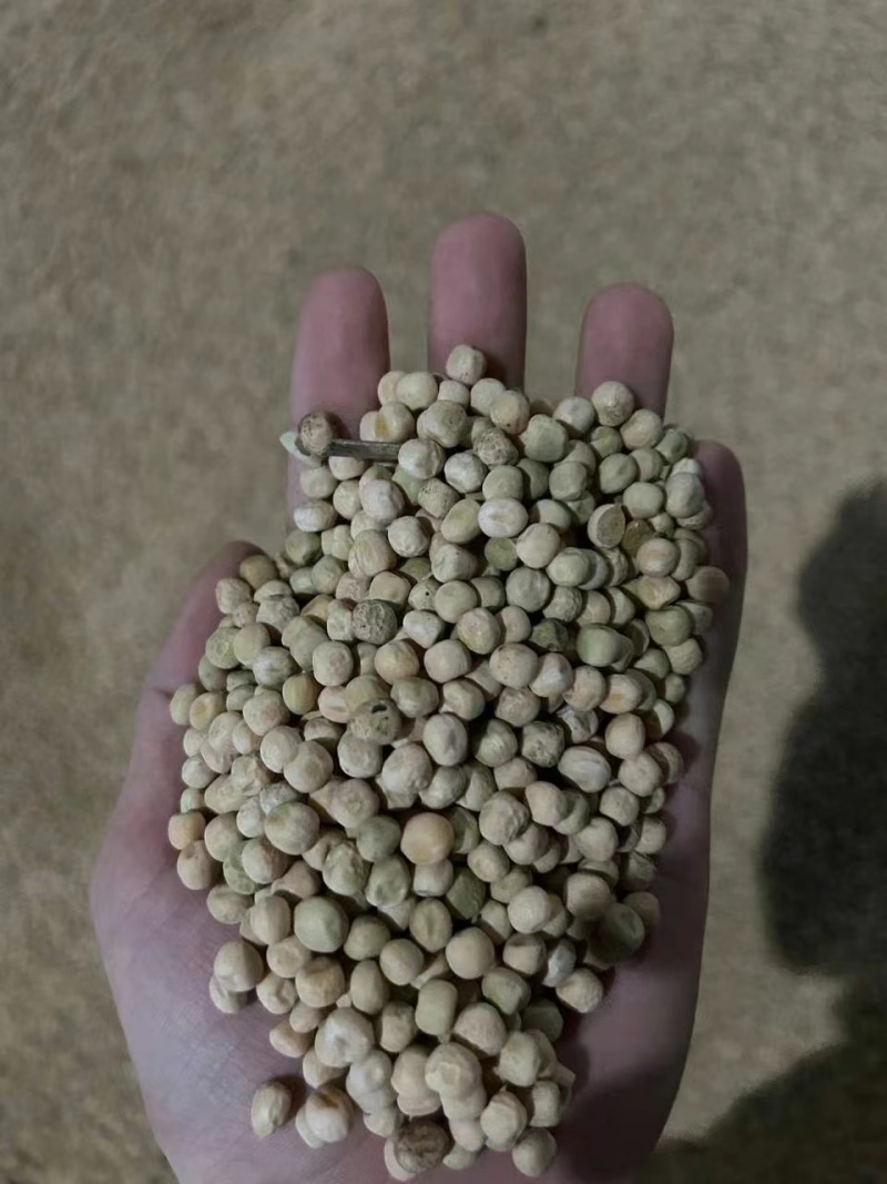 干豌豆青豌豆白豌豆黄豌豆豌豆碎品种登记规格齐全全年有货耐运输