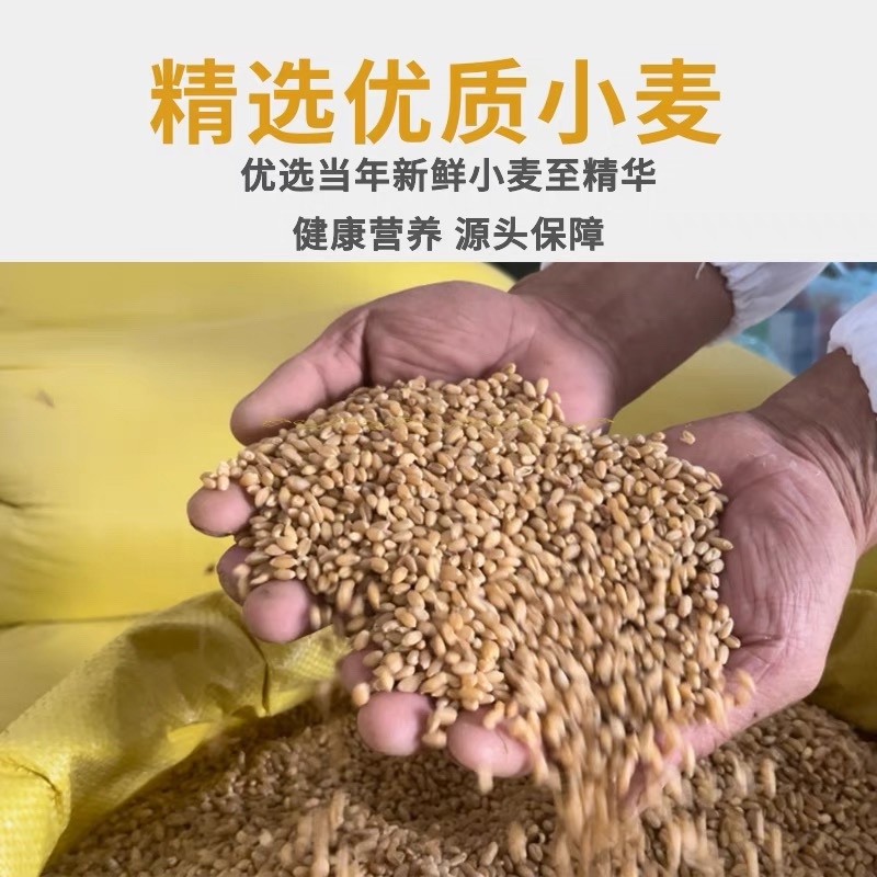 优质小麦面粉