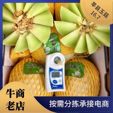 玉菇莘县甜瓜供应商超电商平台出货量大提供分拣各种包装