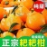 【精品耙耙柑】产地