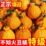【精品耙耙柑】产地