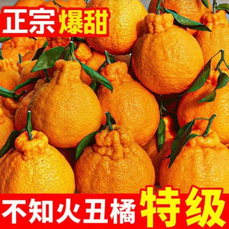 【精品耙耙柑】产地