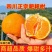 【精品耙耙柑】产地