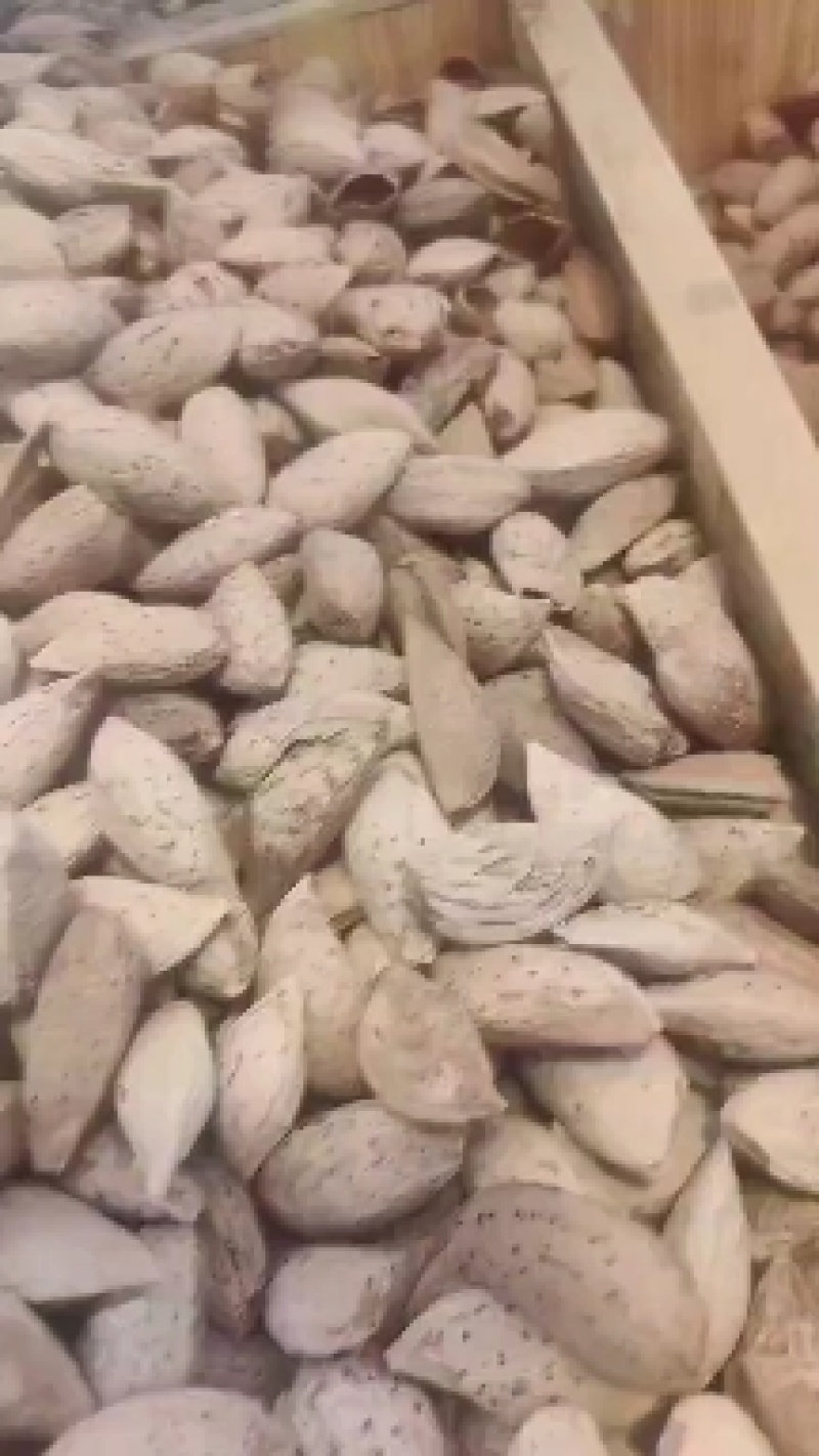 巴旦木