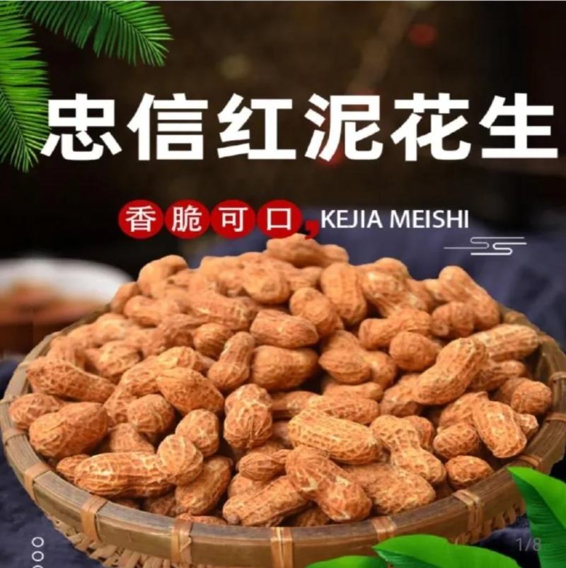 河源忠信红泥花生带壳特产香脆可口红壳花生蒜香原味小吃零食